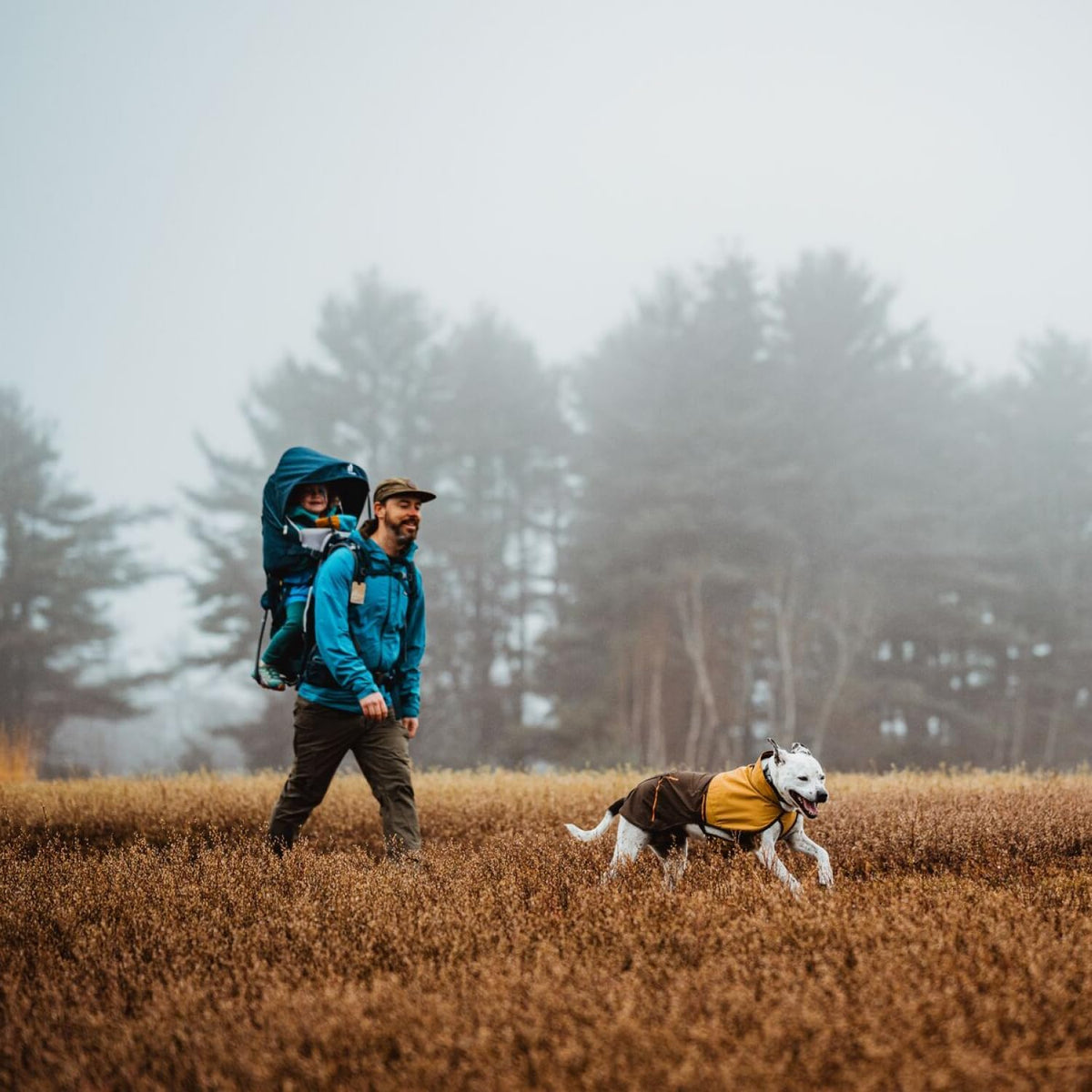 Ruffwear, Sun Shower Dog Raincoat - Earth Brown / Medium - image 2