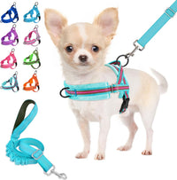 Lukovee Small Dog Harness and Leash Set, No Pull Soft Padded, XS - Light Blue - with Stripe / S ( Chest 17.5'' ~ 22'')