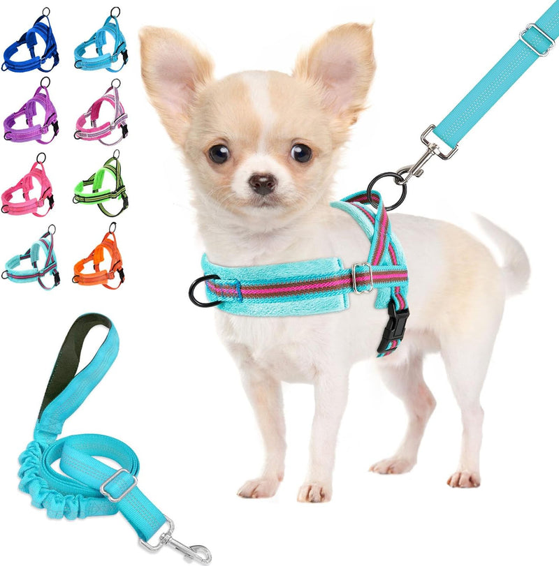Lukovee Small Dog Harness and Leash Set, No Pull Soft Padded, XS - Light Blue - with Stripe / S ( Chest 17.5'' ~ 22'')