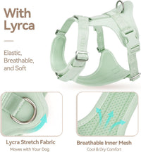 Sunraymascota Dog Harness - M (Neck: 16-26", Chest: 21-31") / Light Green - image 3
