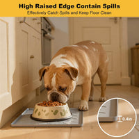 Pieviev Silicone Dog Cat Food Bowl Mat, Waterproof Raised Edge - S-16''X12'' / Light Gray - image 2