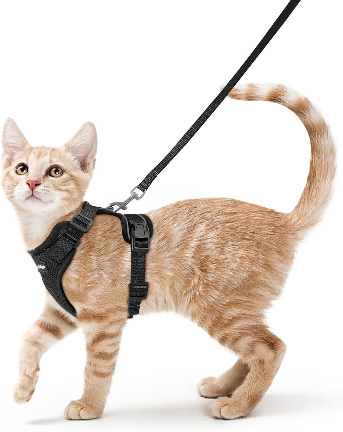rabbitgoo Cat Harness and Leash Set, Escape Proof Vest - Xs / Black