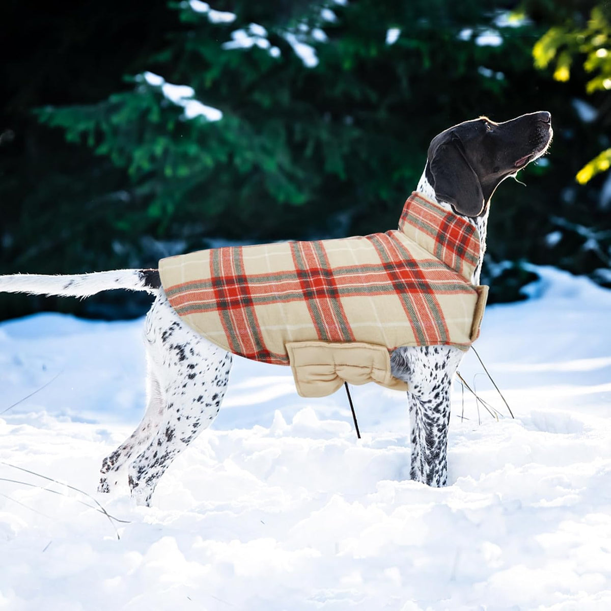 Kuoser Waterproof Dog Coat - Beige&Red / X-Large (Pack of 1) - image 2