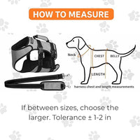 Ayquez Dog Lift Harness with Storage and Transport Bag, Dog Harness with Handle for Lifting & Hip dysplasia, arnés para Perros pequeños, pechera para Perros (Gray, XL)