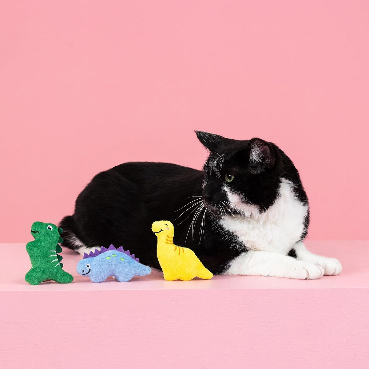 Fringe Studio, Off THE Scales Durable Cotton Canvas Cat Toy - Rawr-Some Crew - image 4