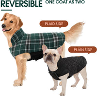 Kuoser Waterproof Dog Coat - Green / X-Large (Pack of 1) - image 3