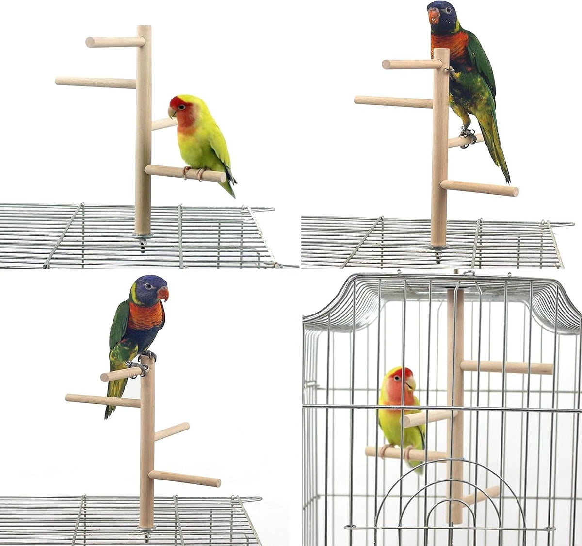 Natural Bird Perch Stand for Cage Multi Branch Perches for Parakeet – Essentials for Birds - image 2