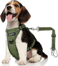 Dog Seat Belt Harness for Car, Dog Car Harness Adjustable Mesh Breathable & Dogs Seatbelt Safety Tether with Elastic Bungee for Small Medium Large Pets(Army Green, M)