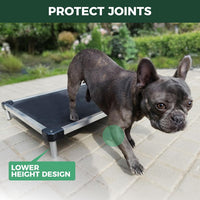 FXW TitanNest Cooling Chew-Proof Elevated Dog Bed for Medium Dogs – Essentials for Dogs - Standard Dog Bed / XXS-Toy Dog (24.0"L x 20.0"W x 4.1"H) - image 2