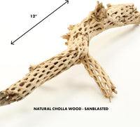 Koyal Wholesale Natural Cholla Wood Aquarium Branches - 12-Inch - image 3