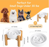 Elevated Slow Feeder Dog Bowl - White / 1.5 Cups - image 2