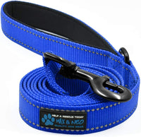 Max and Neo Reflective Nylon Dog Leash - 6 FT x 5/8" Wide / BLUE
