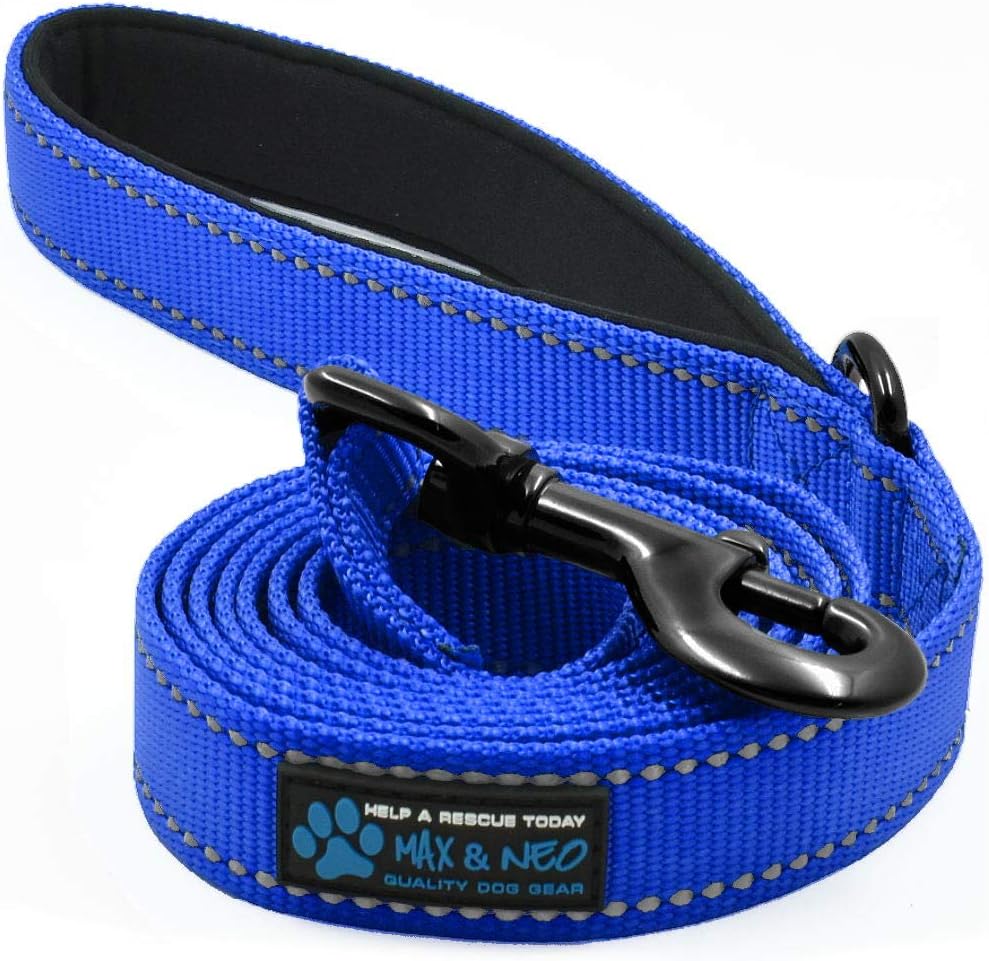 Max and Neo Reflective Nylon Dog Leash - 6 FT x 5/8" Wide / BLUE