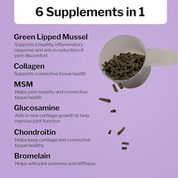 Formula 707 Joint 6in1 Equine Supplement 10 lb Bag – Support for Joint Integrity and Inflammatory Response in Horses – Green-Lipped Mussel, MSM, Glucosamine, Chondroitin & Collagen