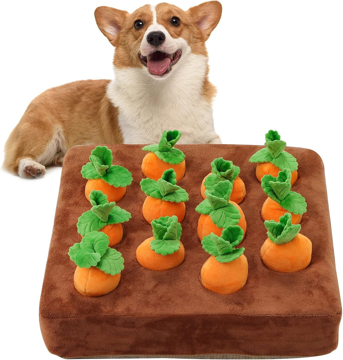 Snuffle Mat & Carrot Puzzle Toy for Dogs - NORMAL