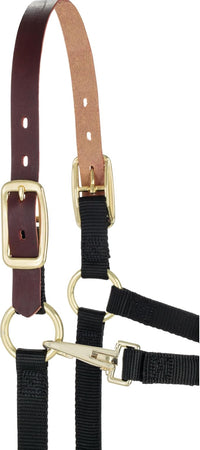 Weaver Equine Breakaway Horse Halter, Supple Leather Crown, Adjustable Chin & Throat Snap Halters for Horses, Equine Tack,Pony Size, Black