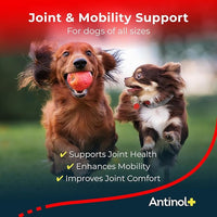 Plus, Mobility, Hip, and Joint Supplement for Dogs, Green-Lipped Mussels and Krill Oil - Dog Joint Supplement, Better and Faster Than Glucosamine and Chondroitin, 180 Soft Gels