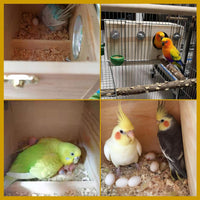 Parakeet Nesting Box, Wood Bird Nest House for Cage - L-11.4 x 5.9 x 5.9in - image 4
