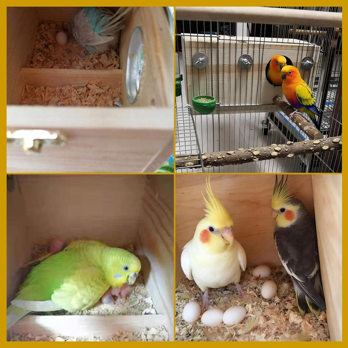 Parakeet Nesting Box, Wood Bird Nest House for Cage - L-11.4 x 5.9 x 5.9in - image 4