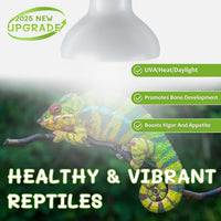 Reptile Heat Lamp Bulbs, Simulate Natural Sunlight Heat Light Bulb, 2 Pack 100W Amphibian Terrarium - Basking Bulb / 2*100 - image 4