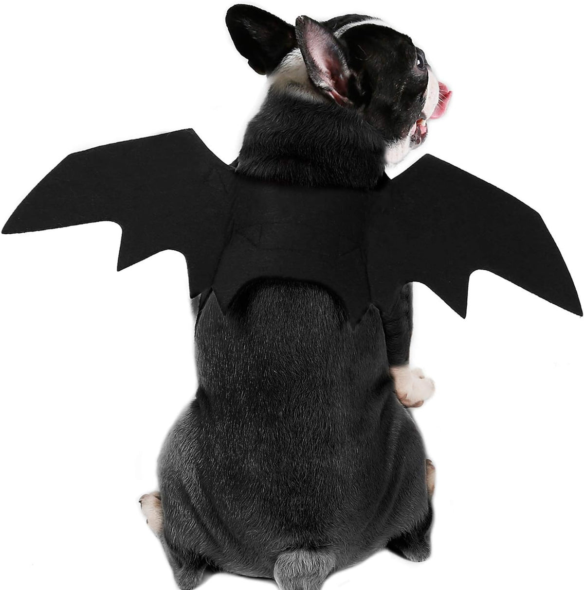 Dog Bat Wings Costume L, Dog Bat Costume for Halloween Cosplay Party – Essentials for Dogs - Small (Pack of 1)