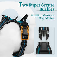 rabbitgoo Dog Harness No Pull with 2 Leash Clips, Adjustable Soft Padded, Reflective Oxford No Choke Pet Vest with Easy Control Handle for Large Dogs, Blue Coral, L