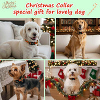 Medium Dog Collars for Male Dogs - Festive Plaid / S - image 2