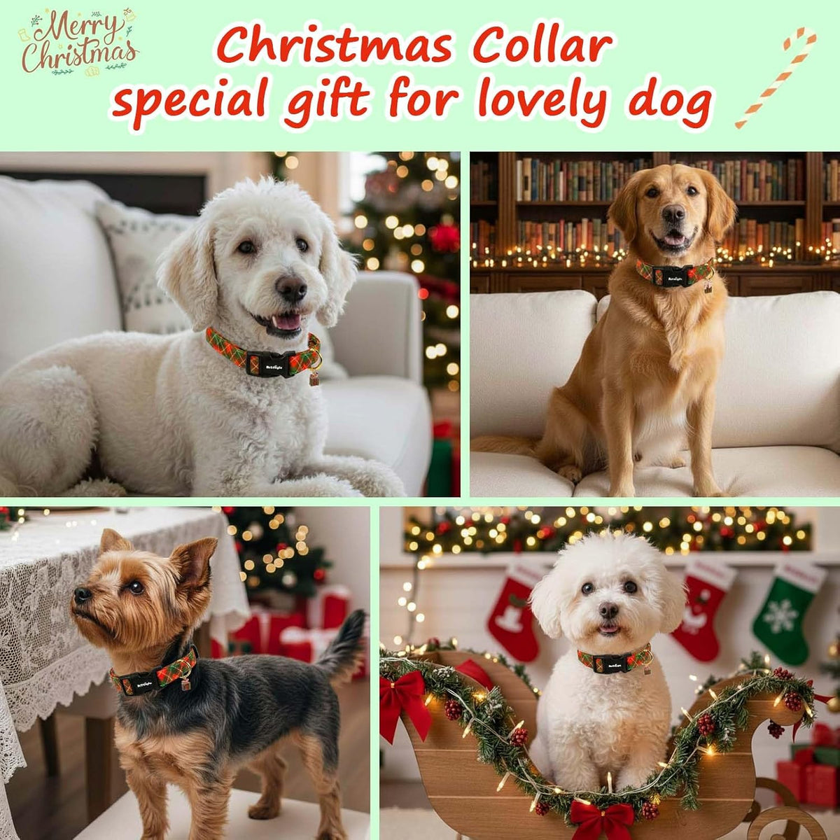 Medium Dog Collars for Male Dogs - Festive Plaid / S - image 2