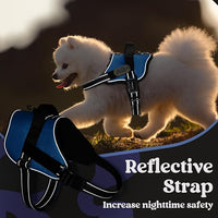 rabbitgoo Dog Harness Medium Sized, Easy On Pet Vest with One Buckle, No Pull Adjustable Service Harness with D-Ring & Handle, Reflective for Safety Walking, Training, Blue, M