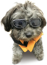 Enjoying Clear Dog Goggles Medium to Large Breed - Classic Black / Small Breeds
