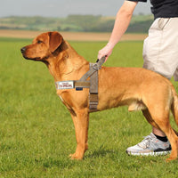 Annchwool No Pull Dog Harness with Soft Padded Handle - M / Brown - image 2