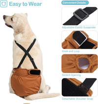 Avont 3 Pack Washable Female Dog Diaper with Suspender - Brown/Black/Grey / L - image 4