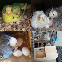 YJJKJ Wood Parakeet Nest Box with Natural Nesting Pads - S - image 3
