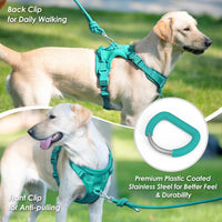 Sunraymascota No Pull Dog Harness for Medium Sized Dogs Puppy Vest - MARRS Green / M(Neck:18.5-25.6", Chest:20.9-30.7") - image 4