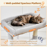 Taoqimiao Cat Tree, Suitable for Kittens - Light Gray / 38.5 Inches - image 4