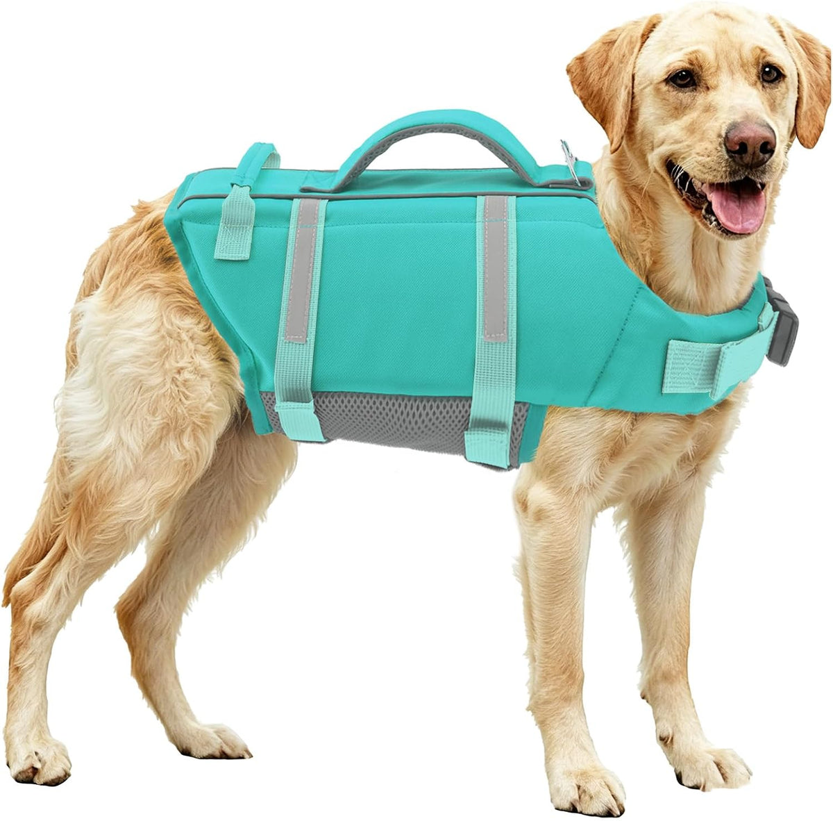 EMUST Dog Life Jacket, Waterproof, Breathable - Medium / Turquoise