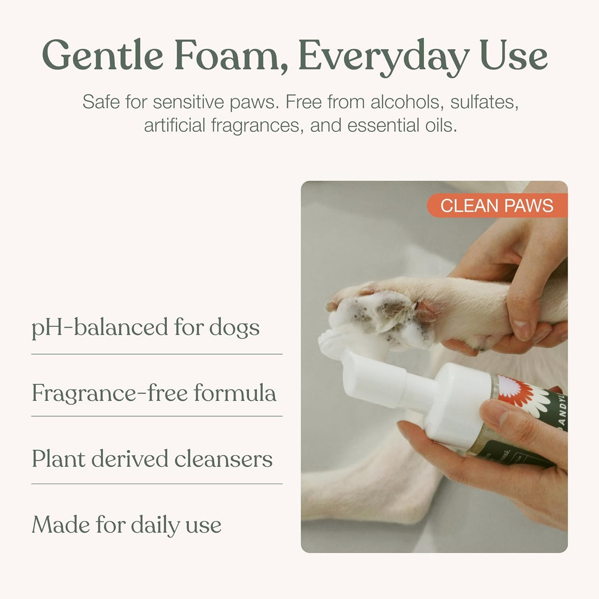Dandylion, Dog Paw Cleaner, Clean Paws - 5 Fl Oz (Pack of 3) - image 4
