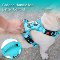 PoyPet No Pull Dog Harness Medium with Front Clip & Neck Release - XL / Mint Blue(Matching Trim) - image 4