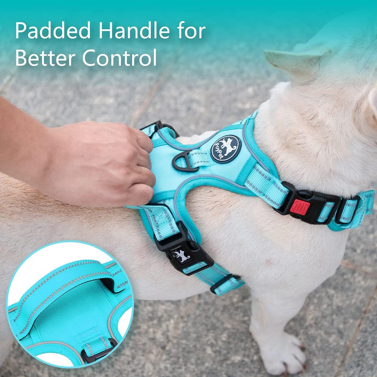 PoyPet No Pull Dog Harness Medium with Front Clip & Neck Release - XL / Mint Blue(Matching Trim) - image 4