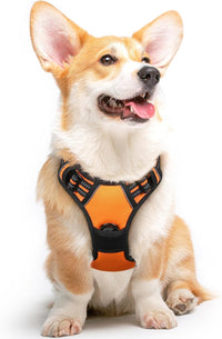Eagloo Dog Harness for Large Dogs - Medium / Orange