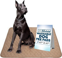 Washable Dog Training Pads, Reusable Waterproof Whelping - 47x47 Inch (Pack of 1, Rounded Corners)