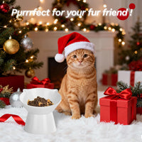Detachable Elevated Cat Bowls - White - image 2
