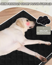 Orthopedic XL Dog Beds Large Sized with Washable Cover, 41x27 - 47.0"L x 29.0"W x 4.0"Th / Black - image 2