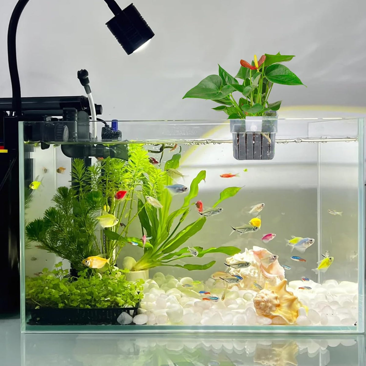 Aquarium Plant Holder 4 PCS Aquatic Plant Pot – Essentials for Fish - White - image 2