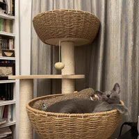 Modern Wood Cat Tree for Large Cats - Large-O1 - image 3
