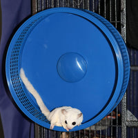 Silent Runner Pro, Sugar Glider Exercise Wheel - Black with Attachment - image 2