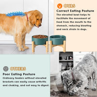 SPUNKYJUNKY Ceramic Elevated Dog Bowls 2 Pack - Medium - 3.6 CUPS*2 / Green - image 3