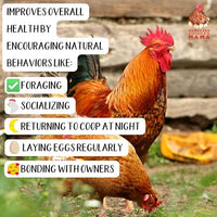 Organic Kelp for Chickens & Duck Feed (5 Pound): Chicken Vitamins | Chicken Supplements | Vitamins for Chickens | Pampered Chicken Mama