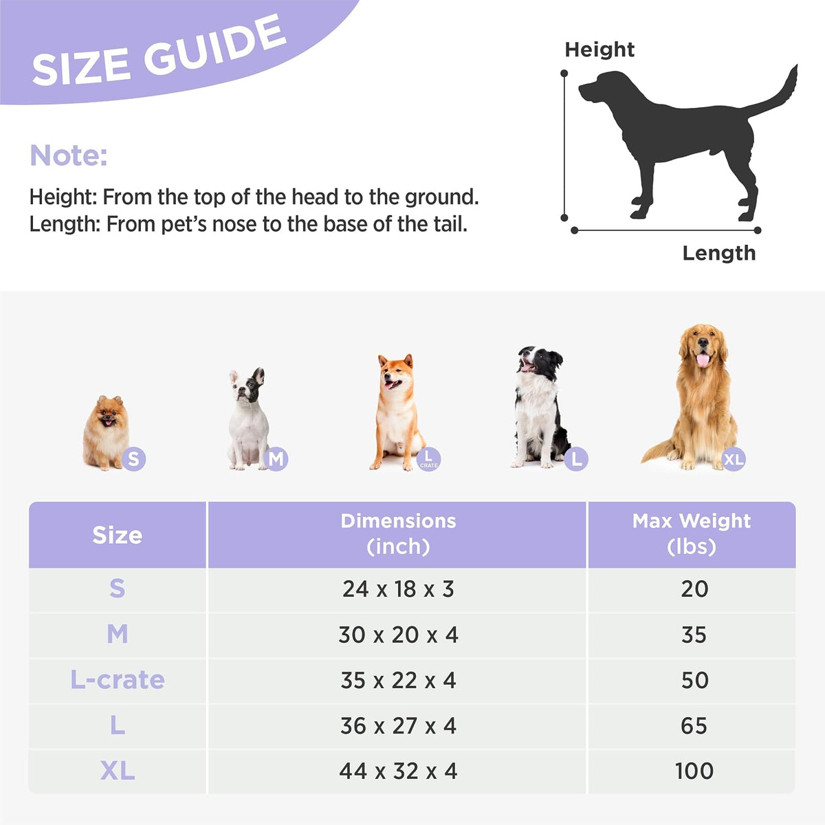 LE SURE Cute Orthopedic Dog Bed Large Sized Dog, Flat Pet Mat - 44"L x 32"W x 4"Th / Cream - image 3