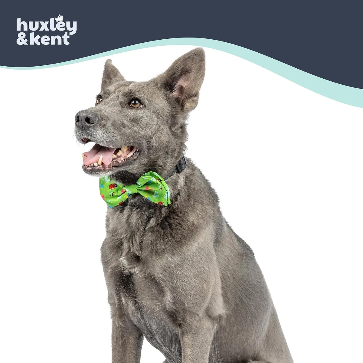 Huxley & Kent Pet Bow Tie for Dogs & Cats - Garden Party / Small - image 3
